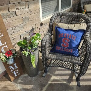 SCSU Outdoor Waterproof Pillow Set (Inserts Included)