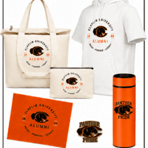 Pinnacle alumni package: hoodie, tote, tumbler